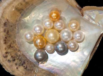 Pearl the June birthstone